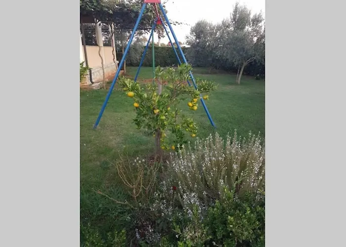 아파트 Comfortable Near Pula *